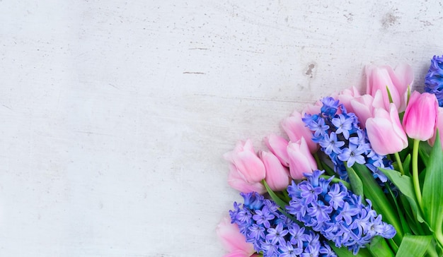 Pink tulips and blue hyacinths flowers on white wooden table