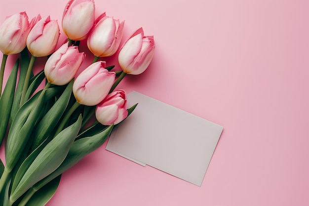 Pink Tulips Pink Background