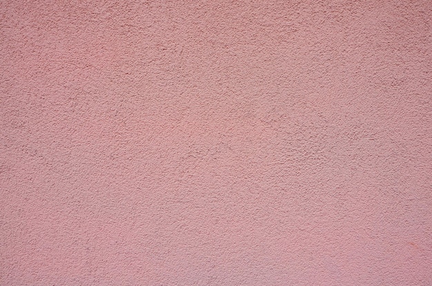 A pink wall with a black and white sign that says'pink'on it