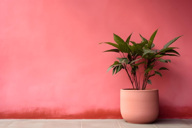 A pink wall with a plant in a pot and a green leaf in the