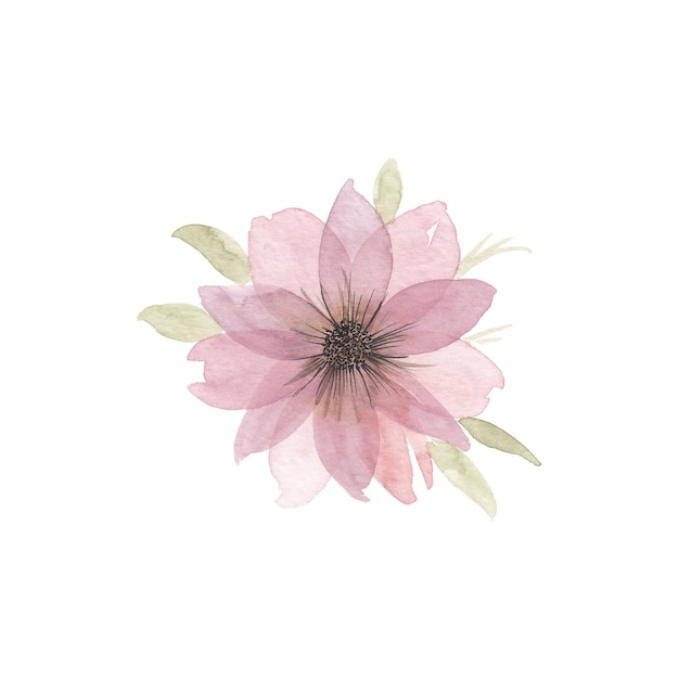 Pink watercolor flower. Hand drawn illustration, isolated on white.