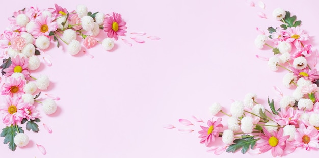 Pink and white chrysanthemums on pink background background