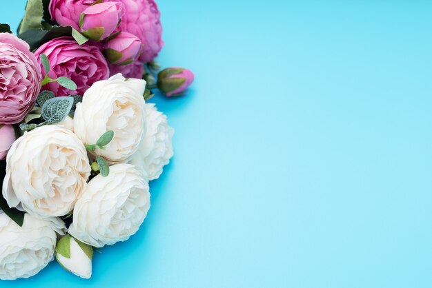 Pink and white flowers on blue