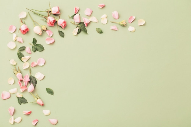 Pink and white flowers