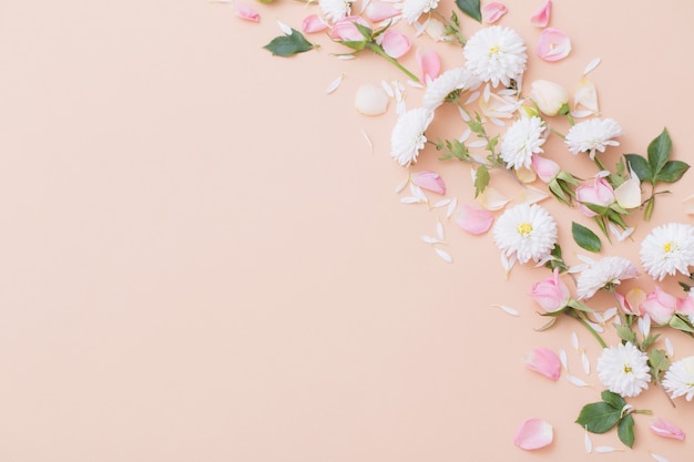 Pink and white flowers