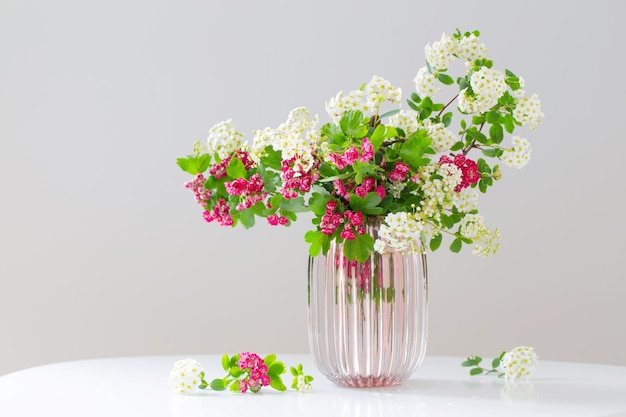 Pink and white spring blooming branches in modern glass vase on white background