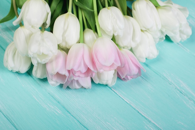 Pink and White Very Tender Tulips on Green Blue Wooden Background