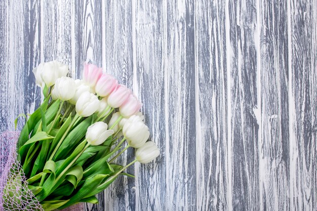 Pink and White Very Tender Tulips on White, Gray Wooden Backgrou