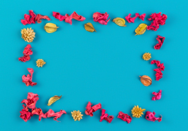 Pink and yellow dried flower plants rectangular border frame on blue background top view flat lay