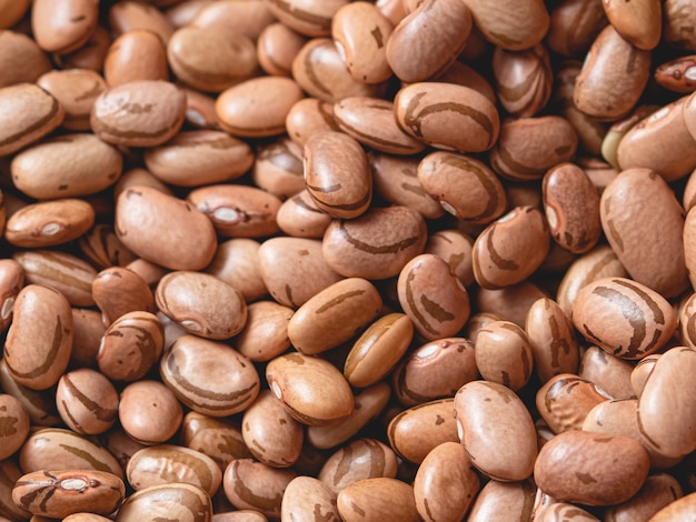 pinto beans in closeup photo for agriculture and food theme