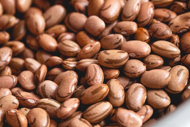 pinto beans in closeup photo for agriculture and food theme