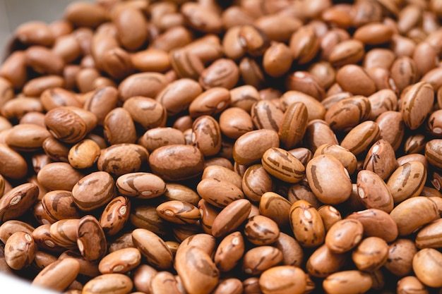 pinto beans in closeup photo for agriculture and food theme