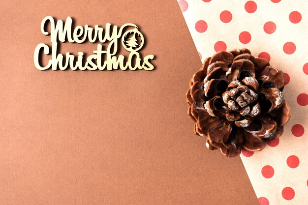 Pinus pinea stone pine cone Brown italian pine cone Christmas concept Copy space top view