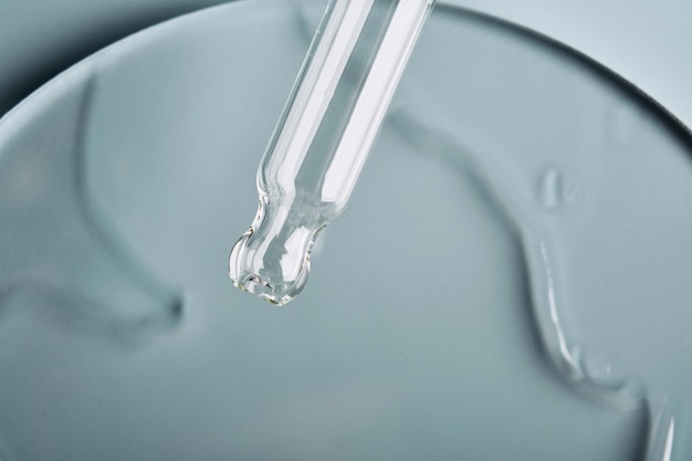 Pipette with sample of cosmetic product in petri dish on grey background selective focus