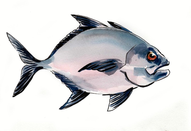 Piranha fish on white background. Ink and watercolor drawing