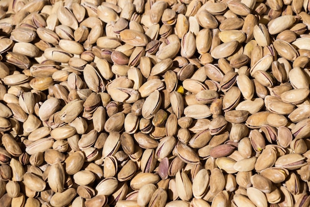 Pistachio with shell ready to eat