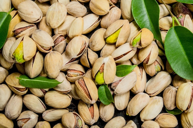 Pistachios with leaves texture