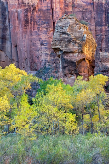 Piulpit Rock in Zion National Park Utah