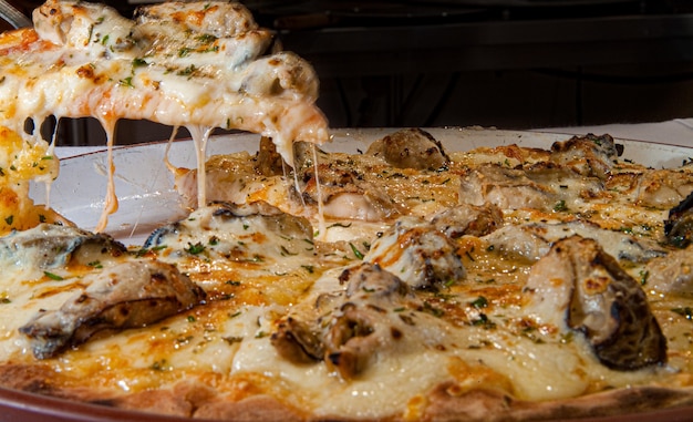 Pizza with special flavor mozzarella with oysters and fine herbs served on a white plate