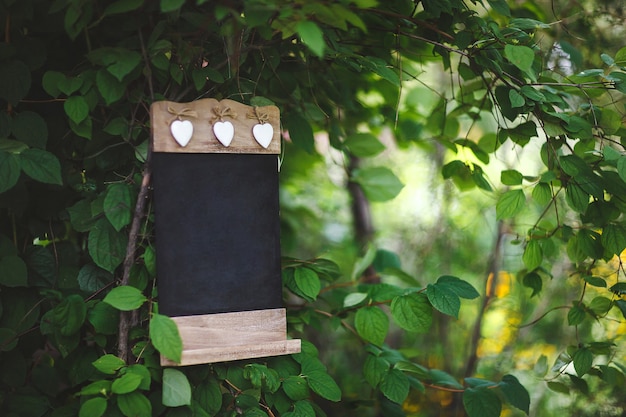 Place for a wedding photo shoot in nature with the decor