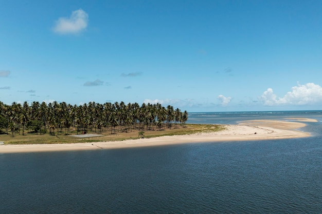 Place where the river meets the sea at Praia dos Carneiros Pernembuco Brazil