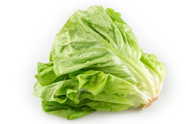 Plain lettuce isolated on white background