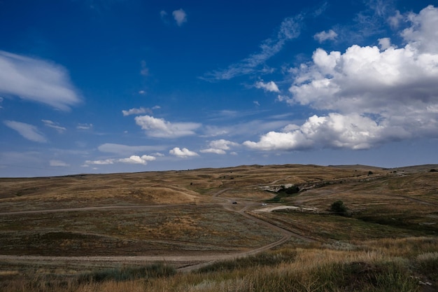 Plain and steppe with dry grass under a blue sky