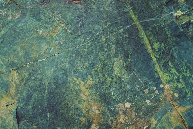 Photo plane multicolored boulder in macro. beautiful rock surface close up. colorful textured stone. amazing detailed  of highlands boulder with mosses and lichens. natural texture of mountain.