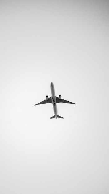 Plane