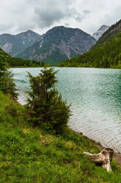 Plansee Alps mountain lake summer overcast day view, Tyrol, Austria.