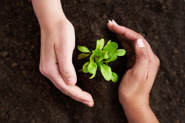 Plant for a better future Shot of two unrecognizable people holding their hands around a plant