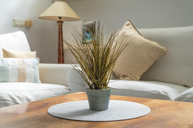 Plant over a brown table with sofas and a lamp on the background