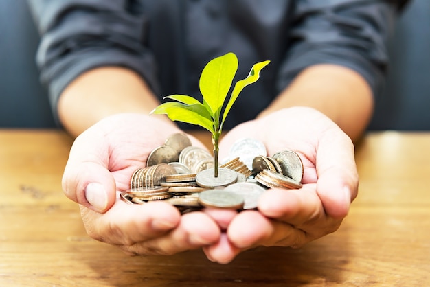 Plant a coin and plant a green tree on an old wood background. Investment Concept