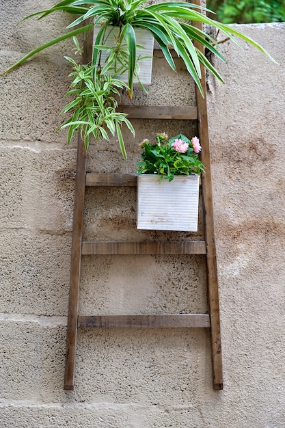 Plant decoration on the wall in the old town of Marbella