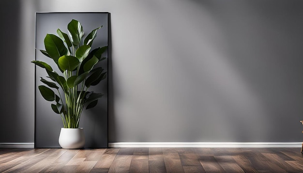 Plant in an empty room with gray wall