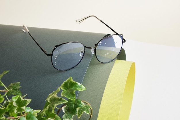 Plant and eye glasses on rolled green paper, vision test concept, beautiful stylish fashion accessories in optics store