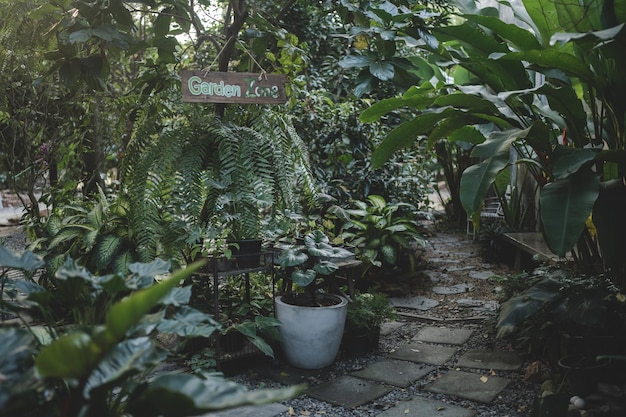 Plant and flower in garden zone at coffee cafe outdoor decoration with botanical plant and small tree design for summer about nature relaxation