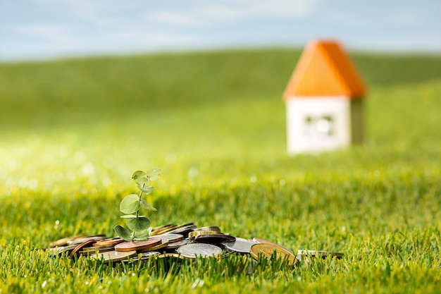 Plant growing in Coins glass jar for money on green grass