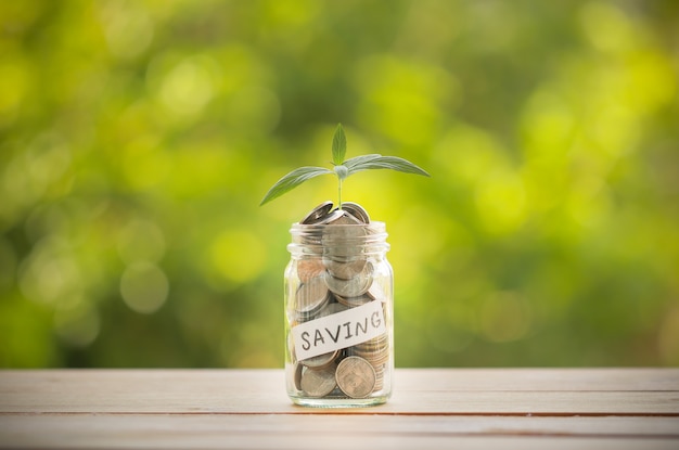 Plant growing out of coins in the glass jar