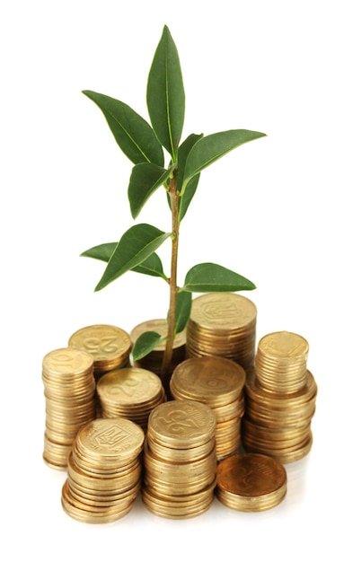 Plant growing out of gold coins isolated on white