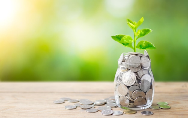 Plant growing in savings coins jar and coins on wooden table