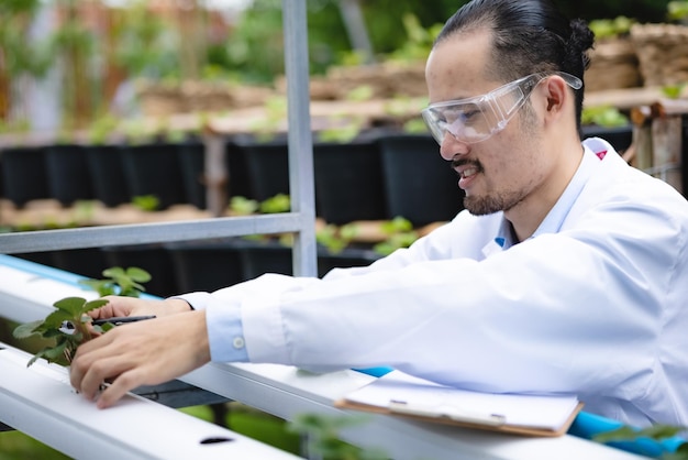 Plant medicine biology scientist research concept outdoor agricultural technology laboratory field