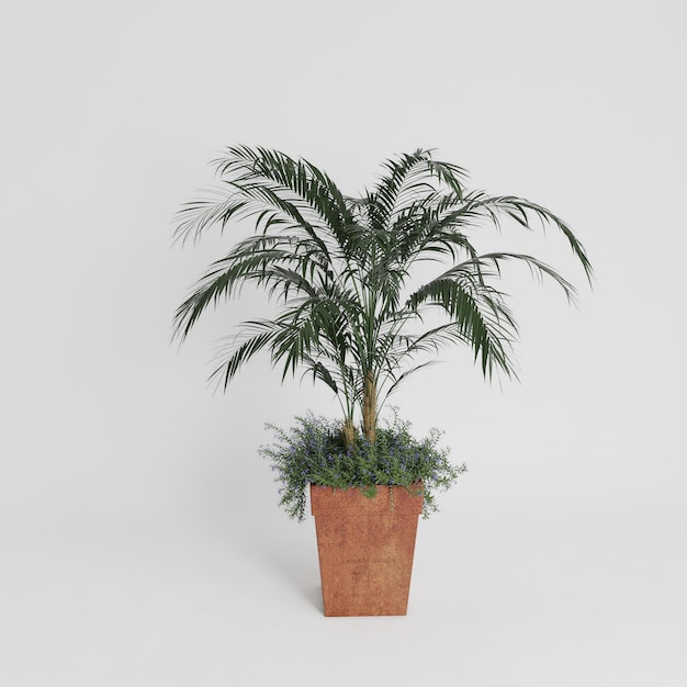 Photo plant png