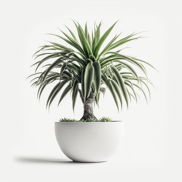 Plant in a pot isolated on white background Generative AI illustration