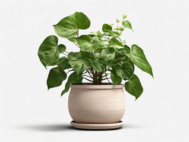 a plant in a pot with a plant in it