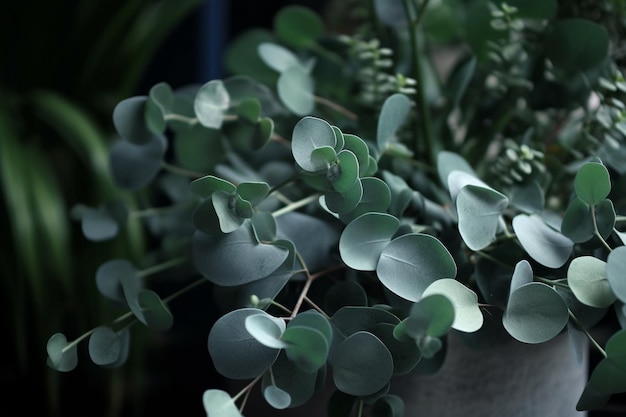 A plant in a pot with a plant in it