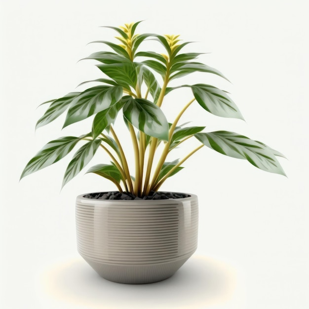 A plant in a pot with a white background.