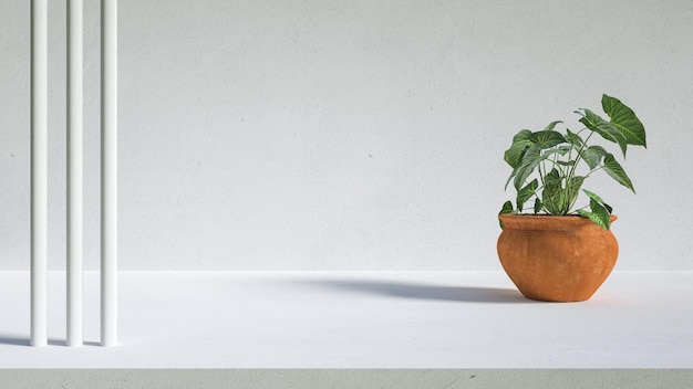 A plant on a shelf with a white background