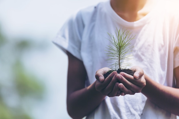 plant a tree.Symbol of spring and ecology concept