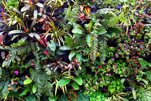 Plant wall with lush green colors, variety plant forest garden on walls orchids fern leaves palm